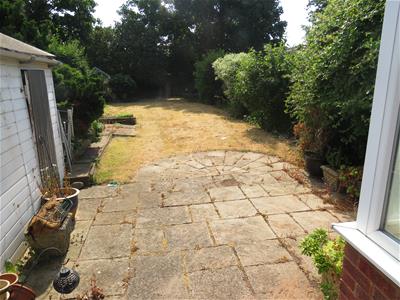 Picture 11